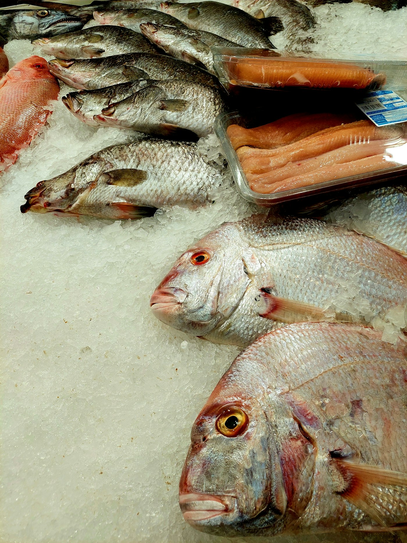 Fresh whole fish including bream and snapper displayed on ice at a fish market